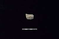 陶片藏品圖，第2張